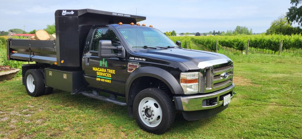 Niagara Tree Services